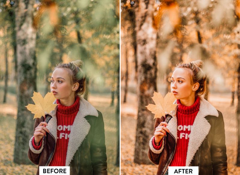 Làm Thế Nào Để Tạo Hiệu Ứng Bokeh Trong Chụp Ảnh Giáng Sinh